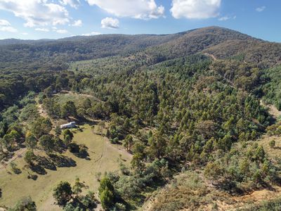 Bonnie Doon