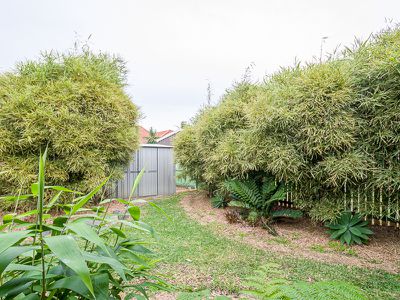 24 Lido Parade, Urangan