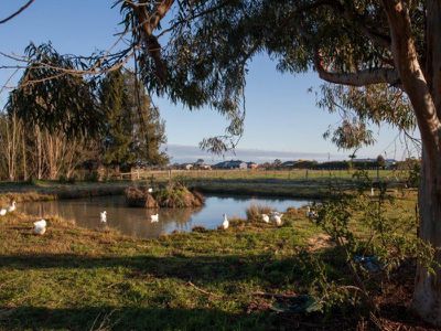 8 JACKA ROAD, Cohuna