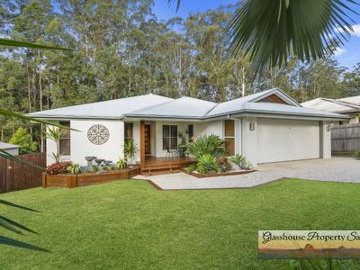 19 Yellow Cedar Place, Palmwoods