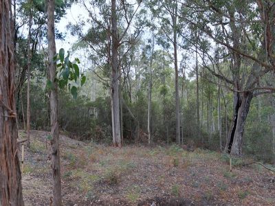 82 Pottery Road, Garden Island Creek