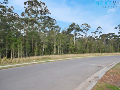 115 Sunningdale Circuit, Medowie