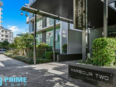 20502 / 8 Hercules Street, Hamilton