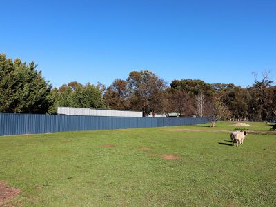 14 Mutton Street, Avenel