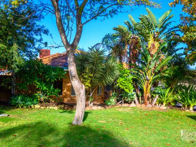 18 Taggert Ave, Baldivis