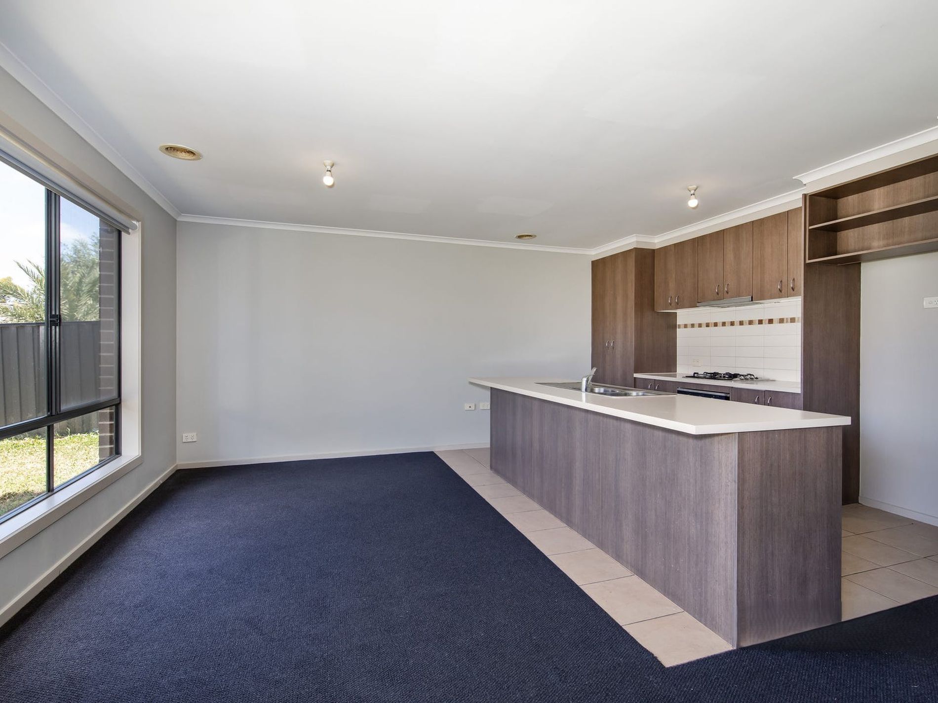4 Billabong Crescent, Tarneit