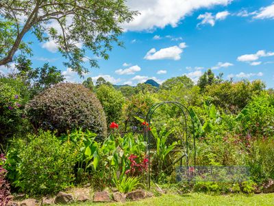 17 Golden Penda Place, Mullumbimby