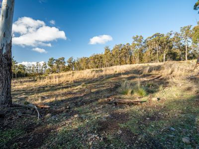 Lot 3, 101 Bridgenorth Road, Legana