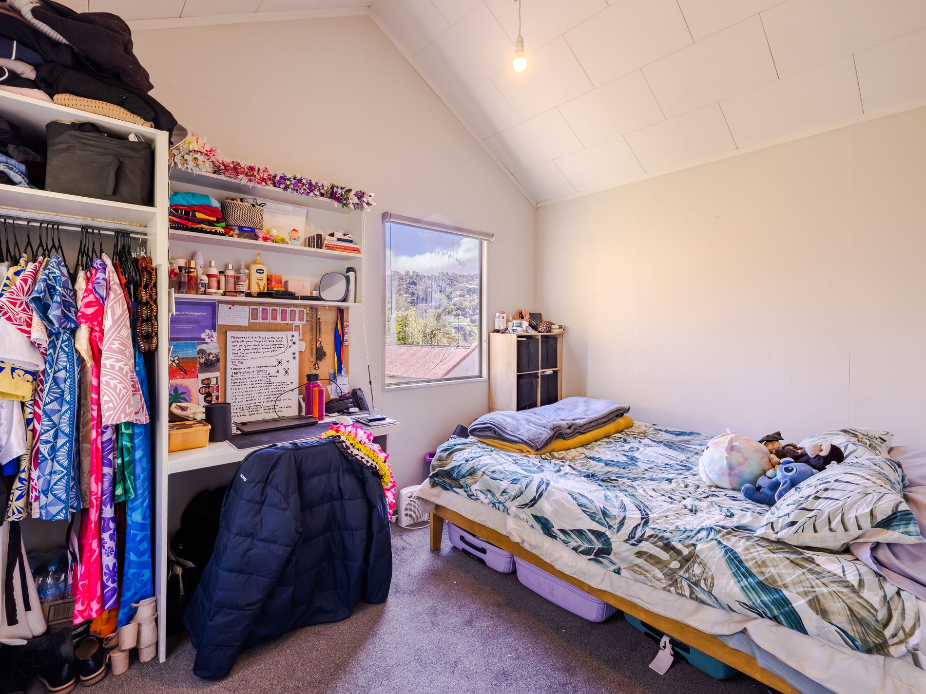 10 / 63 Opoho Road, North East Valley