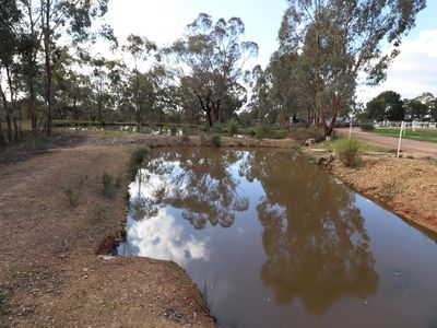 381 Warrowitue-Forest Road, Heathcote