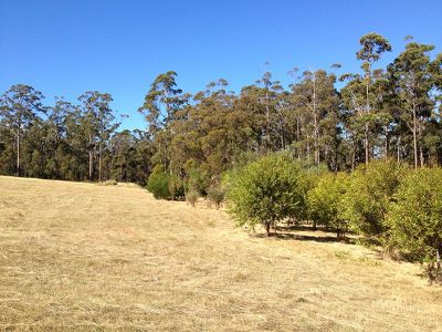 Lot 2, 49 Wills Road, Abels Bay
