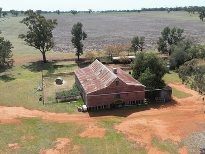 3166 Back Trundle Road, Parkes