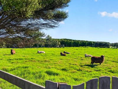 259 Mairetahi Road, South Head, Helensville