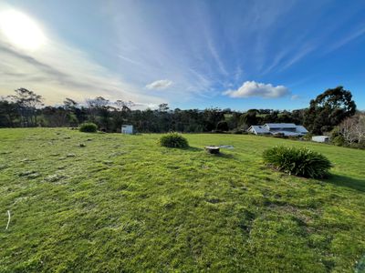 Wynyard