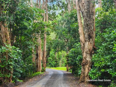 91 Boundary Street, Cooktown