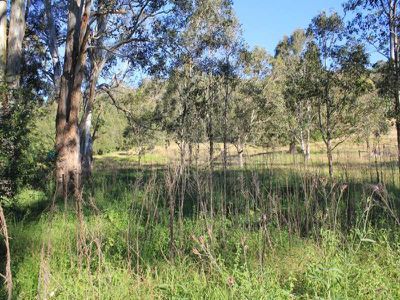 Lot 1 Lot 1 Moss Vale Rd, Kangaroo Valley
