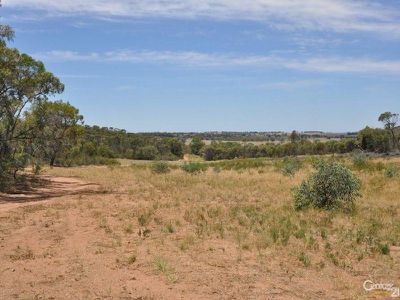 304R Belowrie Road, Tomingley, Dubbo