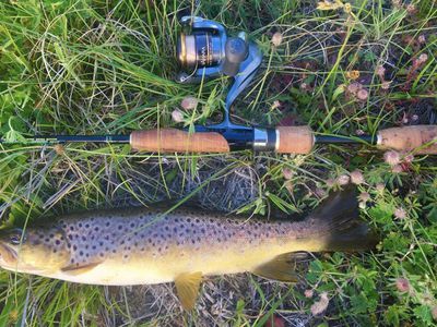 4782 Jerangle Road, Captains Flat