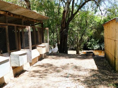 30 Boongarry Road, Trawool