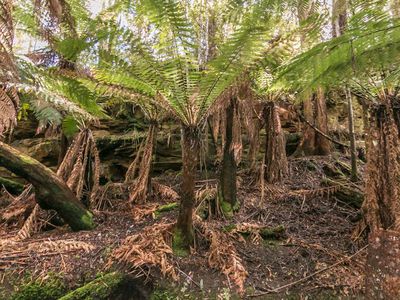 Ra Brittains Road, Garden Island Creek