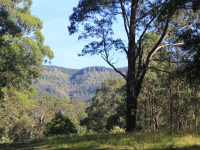339 Free Selectors Road, Foxground