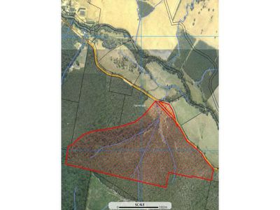 Lot 10, Lonnavale Road, Lonnavale