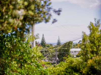 41 Manuka Street, Otaki