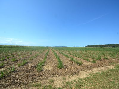 164 Gangemi Road, Lower Cowley