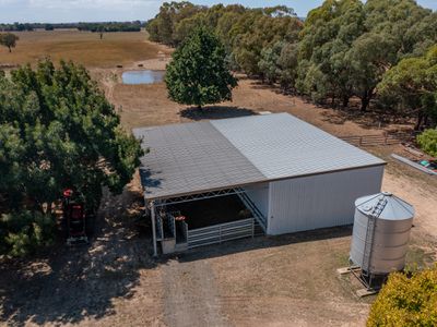 1047 Great Alpine Road, Tarrawingee