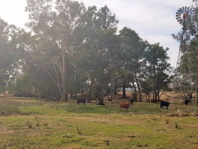 709 Indigo Creek Road, Indigo Valley