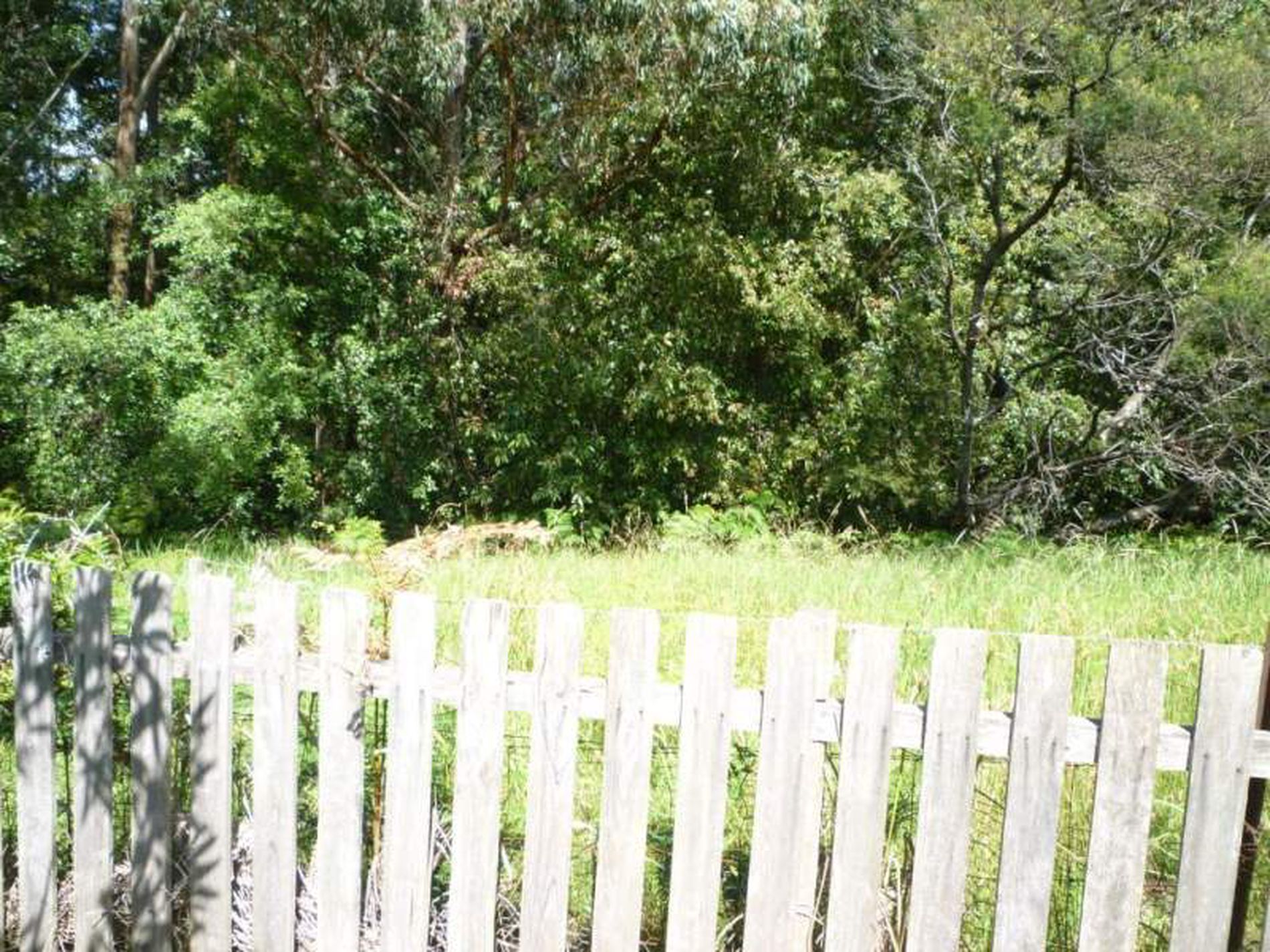 3 Village Drive, Ulladulla