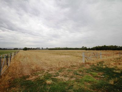 Londrigan-Tarrawingee Road, Londrigan