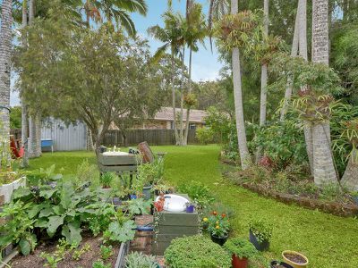 99 Elkhorn Street, Kuluin