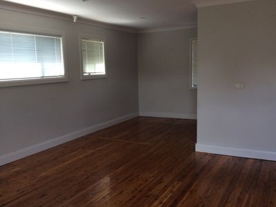 56 Thomas Street, Lake Illawarra