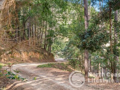 343 Main Arm Road, Mullumbimby