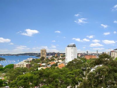 509 / 88 Berry Street, North Sydney
