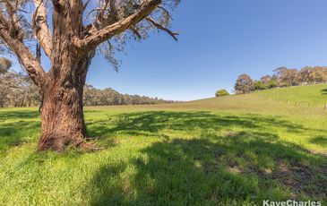 55 Leppitt Road, Pakenham