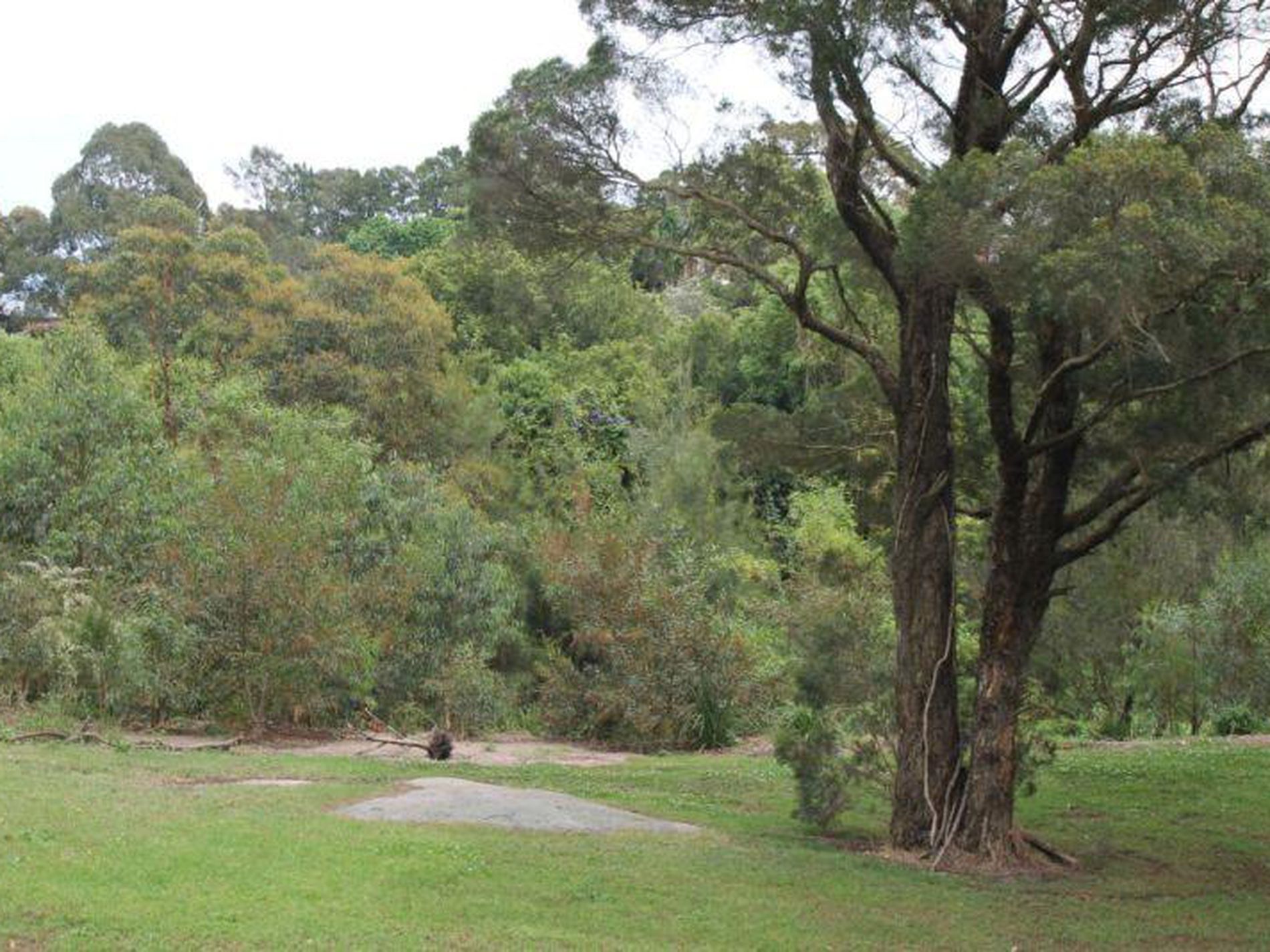 134 Turrella Street, Turrella