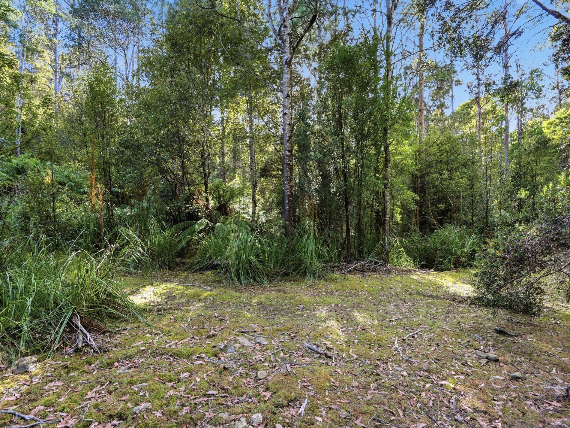 111 Underwoods Road, Nicholls Rivulet
