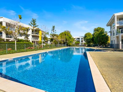 513 / 66 Sickle Avenue, Hope Island