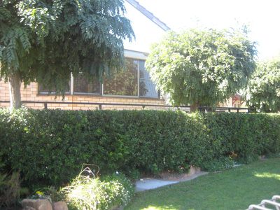 60 Dalton Street, Dubbo