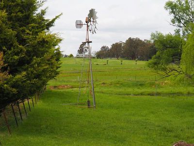 43 Crouch St, Neville
