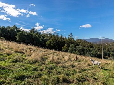 109 Rankins Road, Franklin