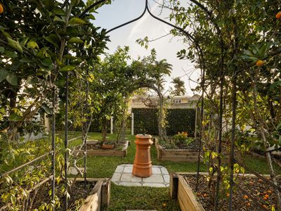 147 Lynne Grove Avenue, Corinda