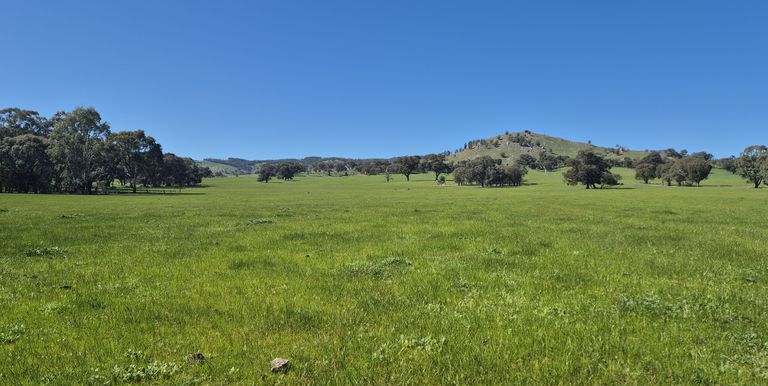 Lot 1  10 Dunnings Road, Balmattum