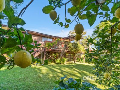 9 Castle Glen, North Nowra