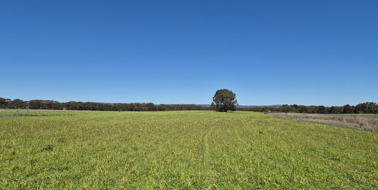 Lot 1 Longwood Ruffy Road , Ruffy