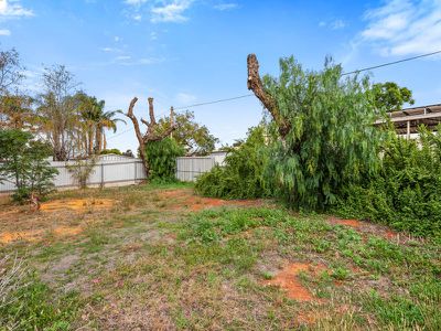 58 Lyall St, Lamington