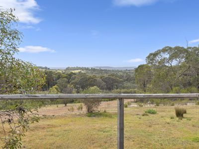 110 Bassett Lane, Hilldene