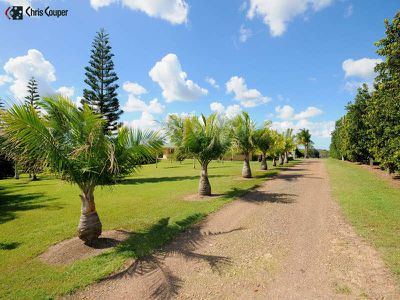 23 SANCTUARY HILLS ROAD, Takura